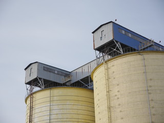 silo and barn