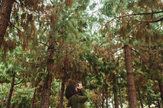 woman in forest with camera