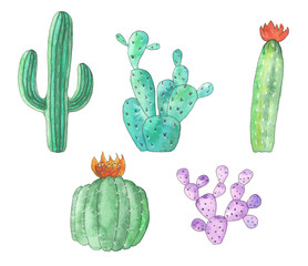 Watercolor set of cacti