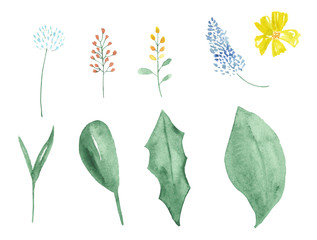Watercolor set of wildflowers and leaves