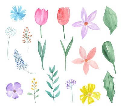 Watercolor set of spring flowers and leaves