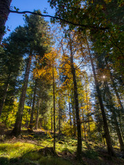 Fototapeta premium OLYMPUS DIGITAL CAMERA