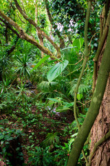 La Vanille Natural Park Mauritius