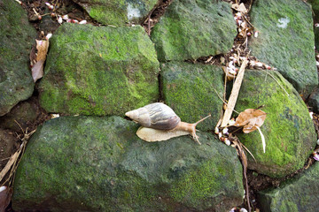 La Vanille Natural Park Mauritius