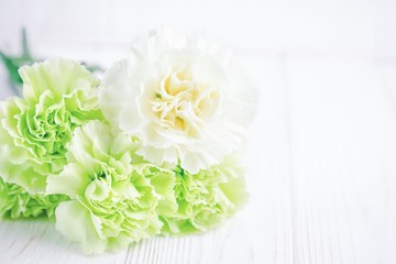 Fototapeta na wymiar Light green and white carnations flowers on a white background. Copy space
