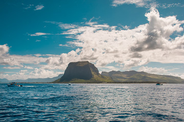 Swimming with dolphins in Le Morne Mauritius