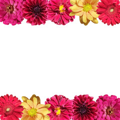 Beautiful floral backdrop of dahlias, chrysanthemums and tsiny 