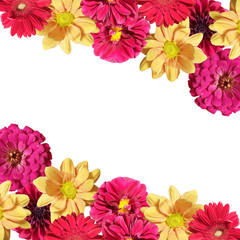 Beautiful floral backdrop of dahlias, chrysanthemums and tsiny