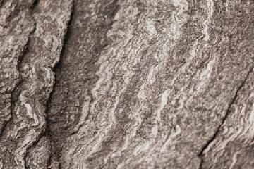 Abstract Stone Texture