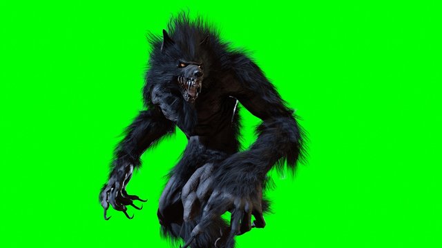 werewolf 3d render