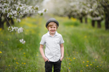 Portrait of a blonde boy with gray classic hat near the branch of white blossom cherry in the flowering garden