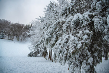 Inverno