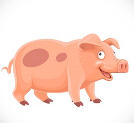 Cute cartoon spotted pig farm animal isolated on a white background