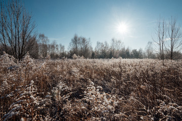 Countryside scenery during sunny morning