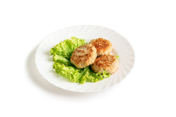 russian national food in white background