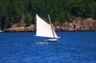 Fototapeta na wymiar Small white Sail Boat in the Ocean water off Maine