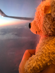 Teddy über den Wolken bei Sonnenutergang