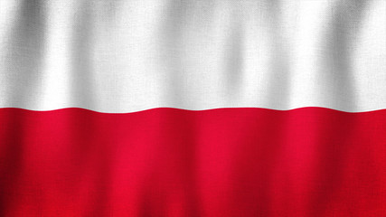 Poland flag waving in the wind. Closeup of realistic Polish flag with highly detailed fabric texture