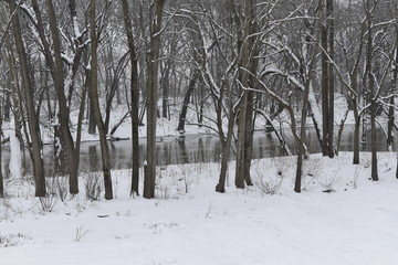 winter landscape with a river and trees