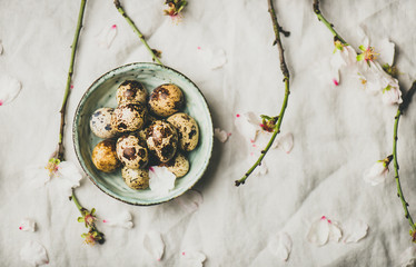 Easter holiday Spring mood flat-lay with quail eggs in blue ceramic bowl and blooming branches of almond tree with white flowers over light gray linen tablecloth, top view, selective focus