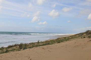 Bay of Biscay