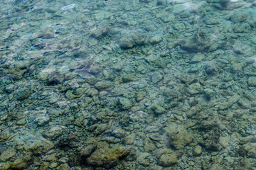 Background of the Red sea water surface and bottom