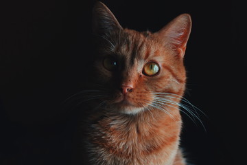 Processed with VSCO with c9 preset