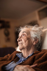 Portrait of old  woman at home.