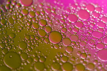 Oil Droplets On Water with Purple and Olive Green Background