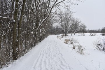 Fototapeta na wymiar snowy road in winter