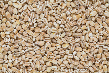 pearl barley isolated on white backrgound