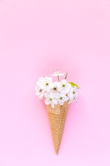 Fashion food set of Ice cream cone with white flowers on top over a pink background, minimalistic design. Top view