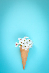 Fashion food set of Ice cream cone with white flowers on top over a light blue background, minimalistic design.
