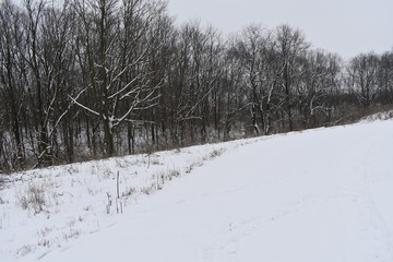 snowy road in winter