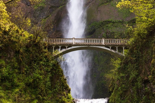 Fototapeta Multnomah Falls near the bridge