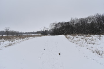 road in winter