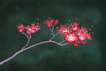 Digital painting of subtle red flowers covered by water drops on dark green background.