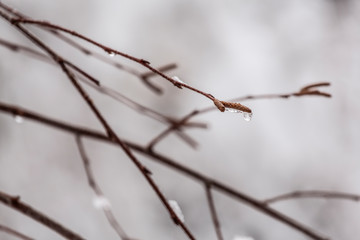 Winter photography in the mountains of Idaho