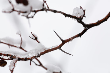 Winter photography in the mountains of Idaho
