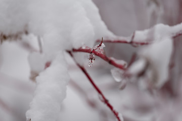 Winter photography in the mountains of Idaho
