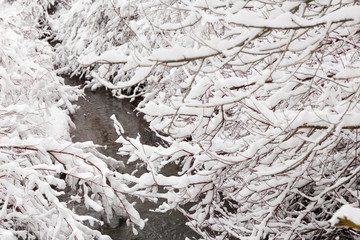 Winter photography in the mountains of Idaho