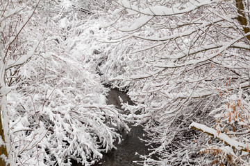 Winter photography in the mountains of Idaho