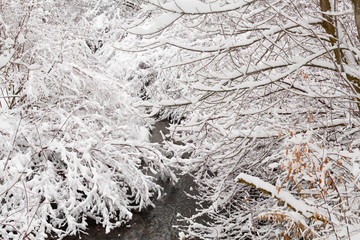 Naklejka premium Winter photography in the mountains of Idaho