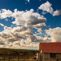Clouds and blue sky over rolling California Vineyards