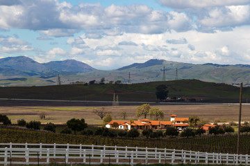 Vineyard near Livermore with California Hills in the background at dusk