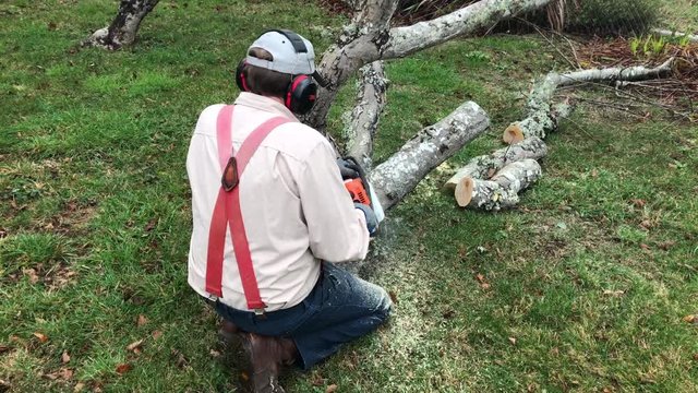 Man wearing ear muffs, using Stihl cain saw to cut branches in the backyard