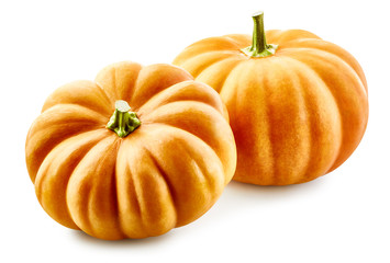 Pumpkin isolated on white