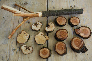 Tree grates and green wood, nature decorative wood