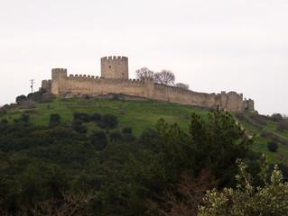 Castle on a hill