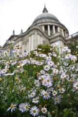 Flowered Dome